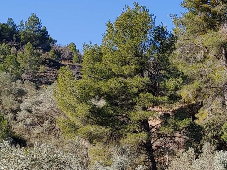 Plot of land for sale in Mora D'ebre, Tarragona province € 28,000